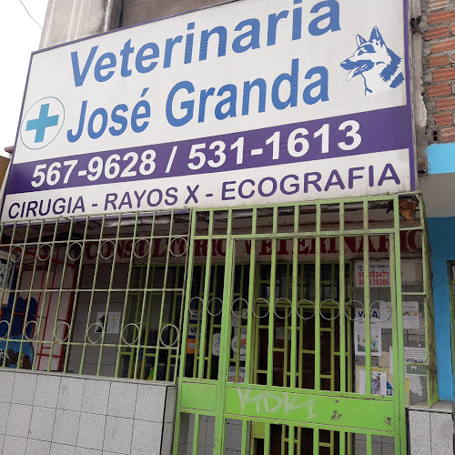 Veterinaria José Granda - San Martín de Porres