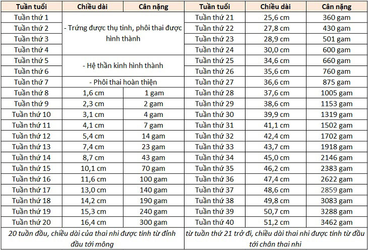 Bảng cân nặng, chiều dài của thai nhi theo tiêu chuẩn của WHO