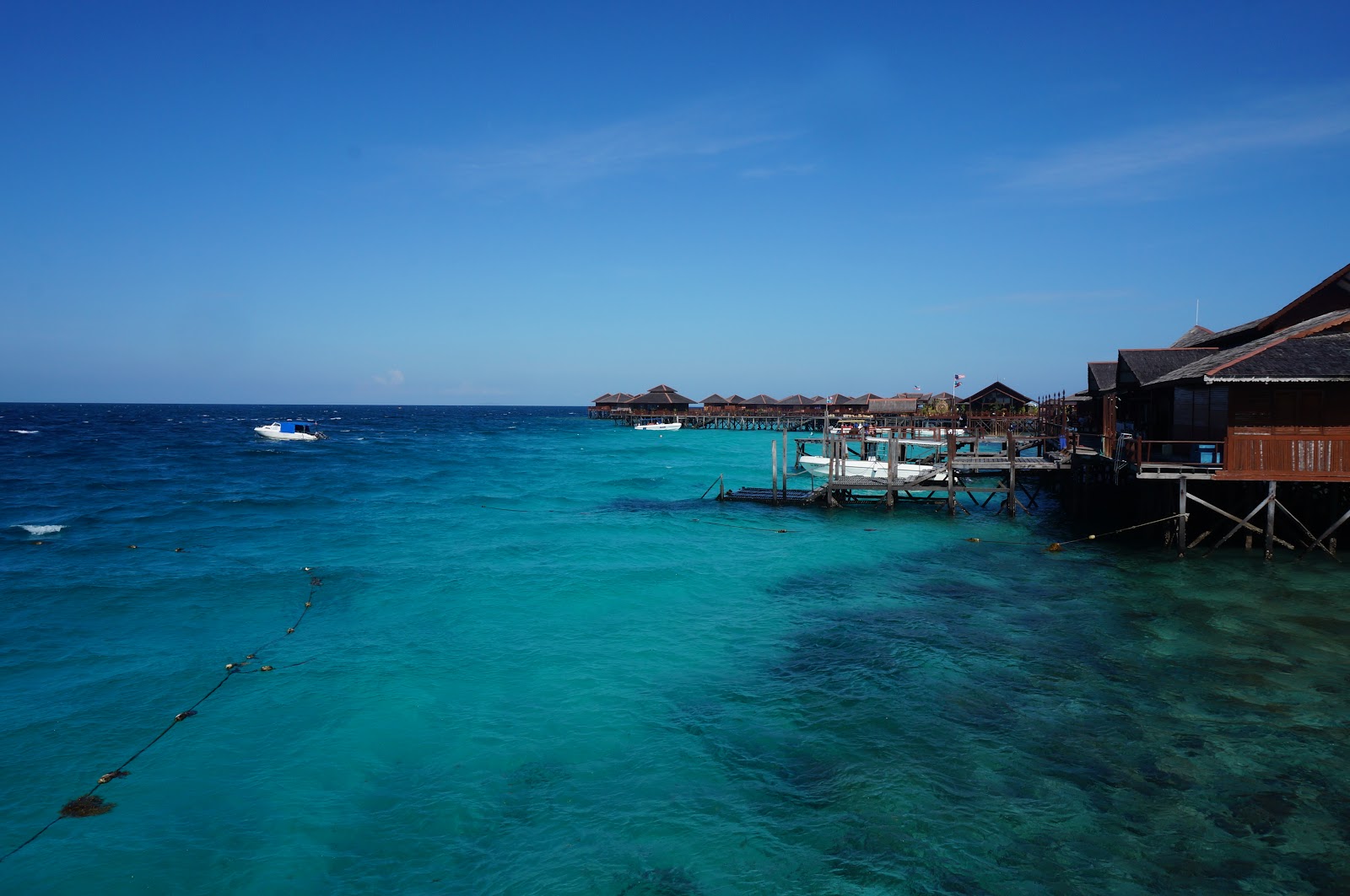 DSC08173.JPG