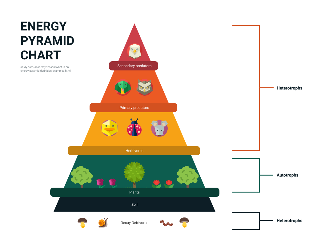 Illustrative Nature Pyramid Chart Template
