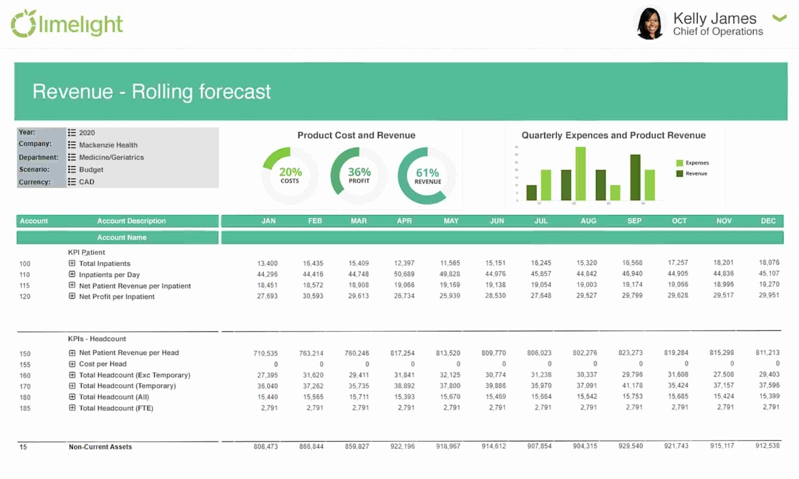 financial forecasting software limelight