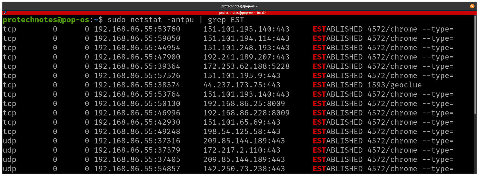 Checking Ports Linux With netstat - Professional Technical Notes