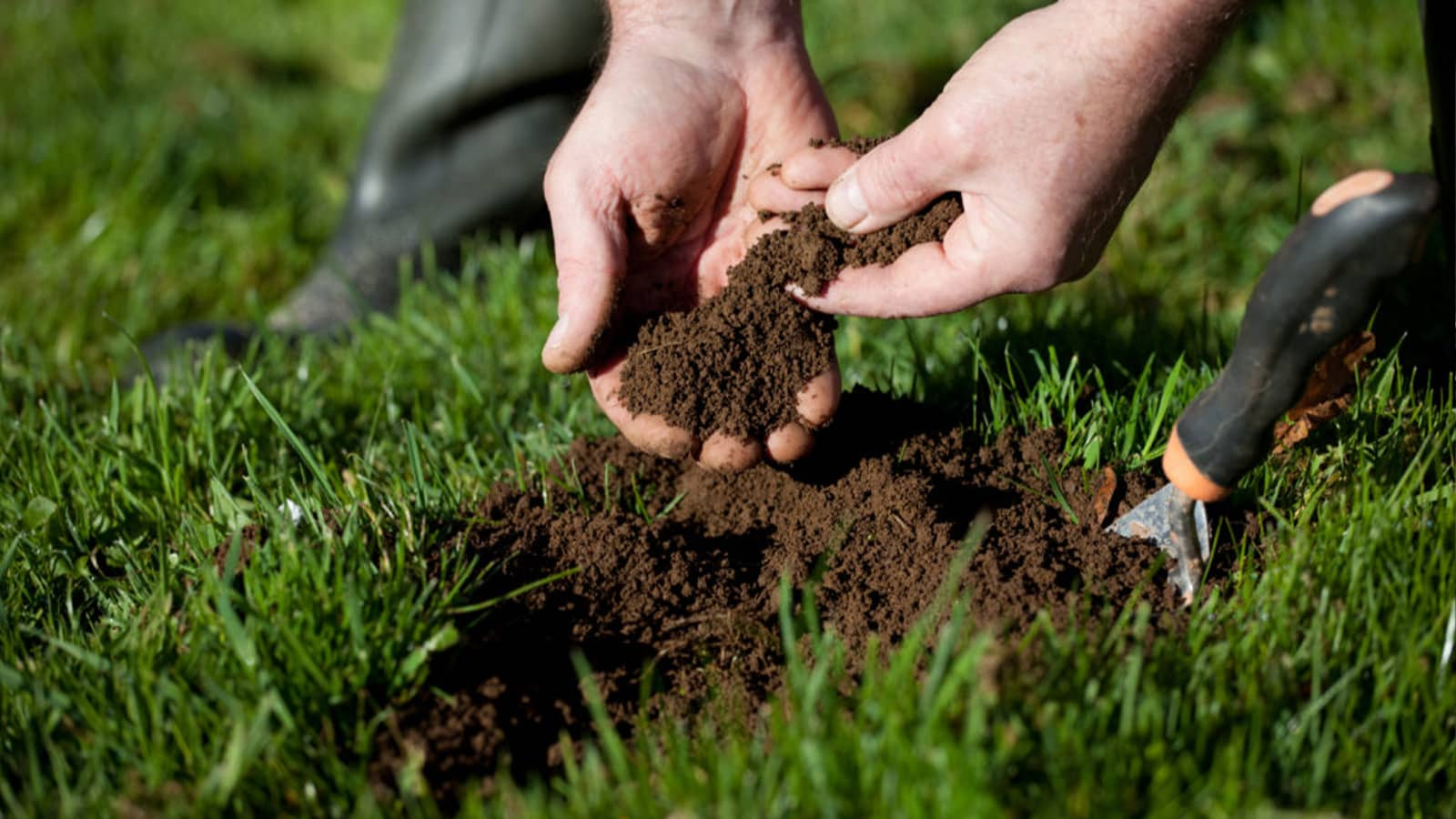 Check soil quality