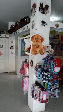 Opiniones de Doctor Pet en Cuenca - Veterinario