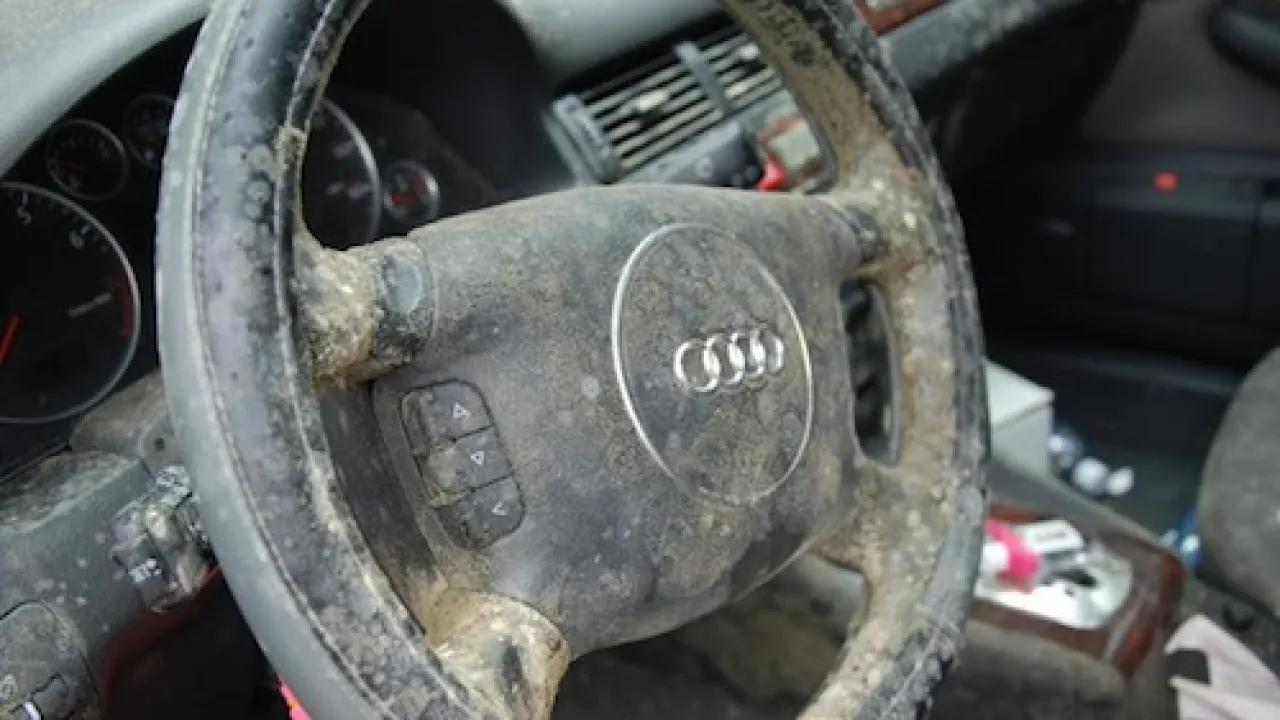 Mold in Your Car