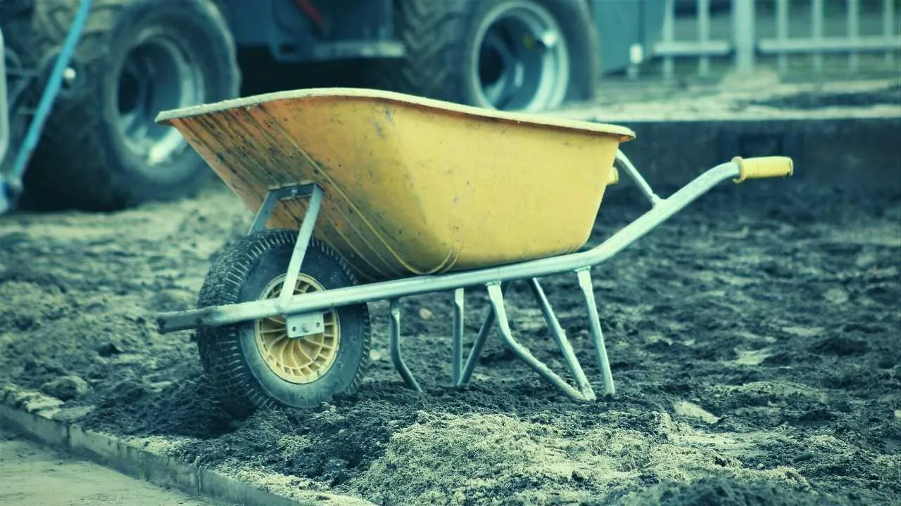 When To Use Builders Sand in Your Garden