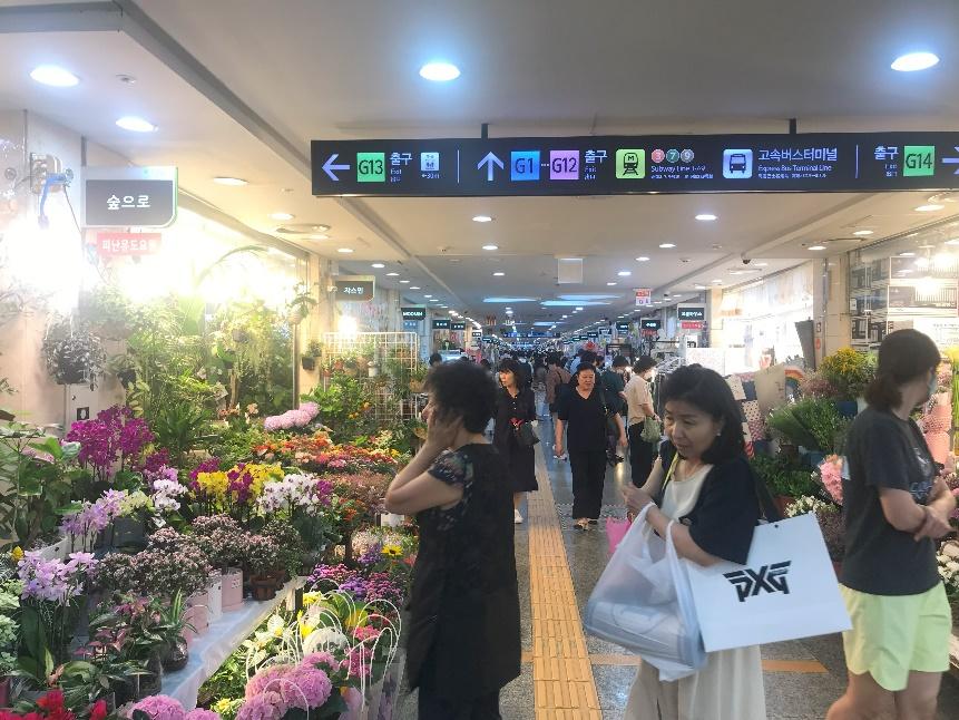 A group of people in a flower market

Description automatically generated with low confidence