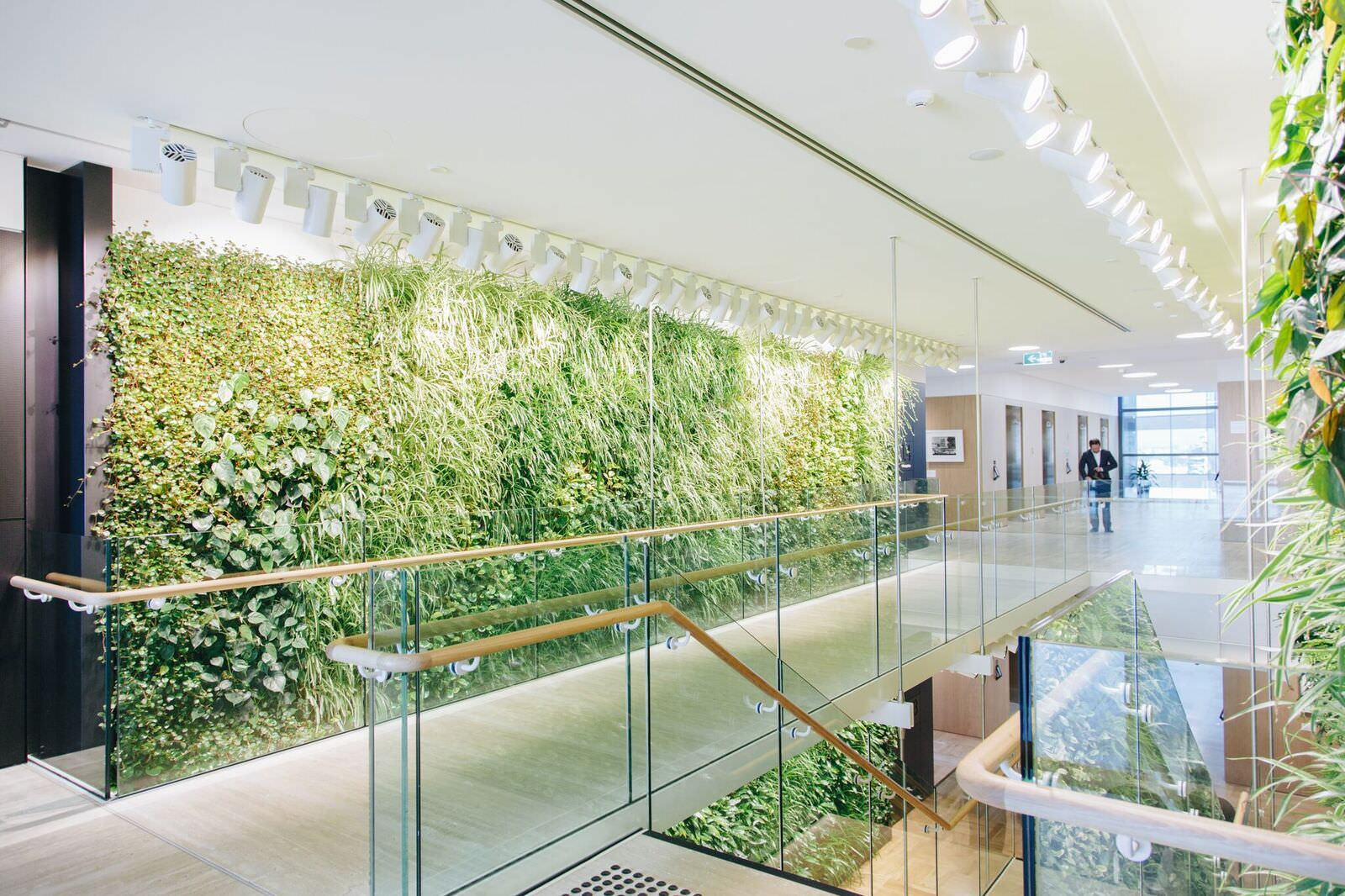 Large plant-filled walls in Lendlease's HQ in Sydney