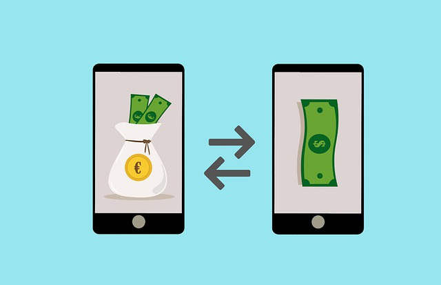nfts for dummies, digital wallet, spend money