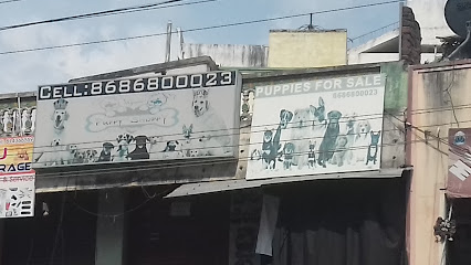 Puppy Shoppy - Pet store in Tirupati , India