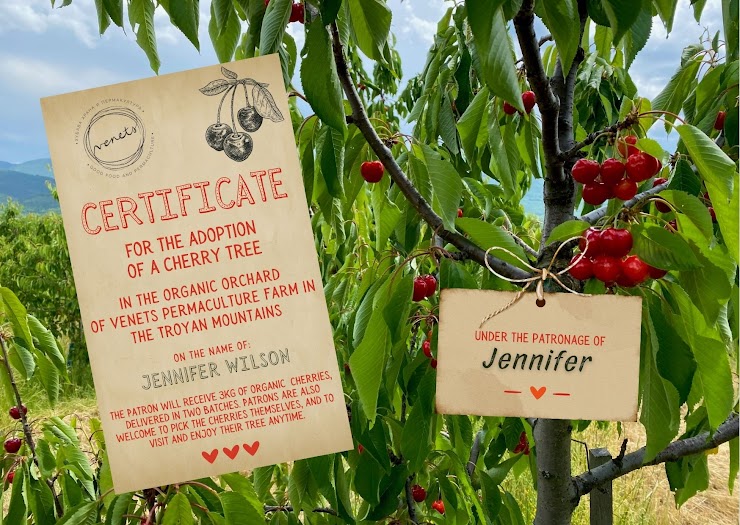 Give yourself or a loved one the gift of a patronage of a cherry tree from our organic gardens! As a patron, you can pick your own 3kg of our organic cherries yourself, or have them shipped via Speedy at our expense. We would be delighted if you would visit us during the flowering season (we will organise special events for the patrons) or whenever you wish to enjoy your tree. We will send you (or the recipient of this gift) a personalized certificate for the adoption, and we will place a nameplate with the names of the patron on your tree. If you would like to order more than one patronage, please specify in the comments field.
