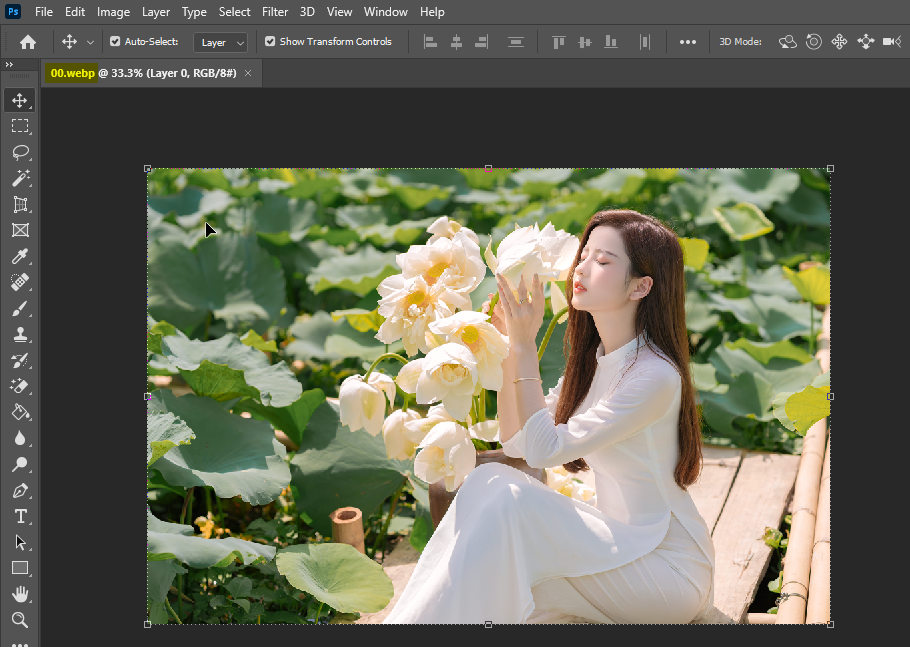 Mở ảnh Webp bằng PhotoShop