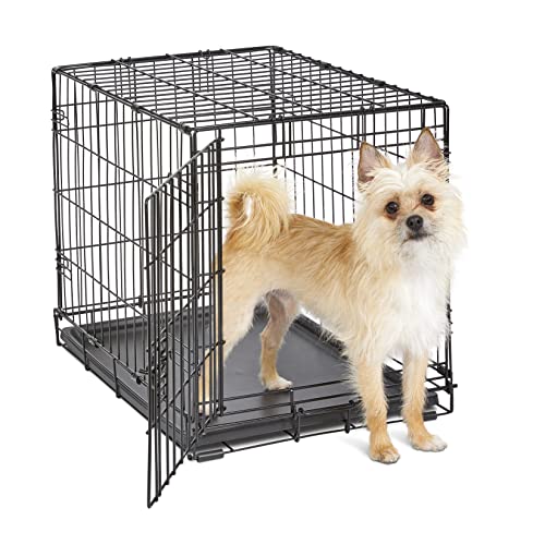 a dog on a metal Crate