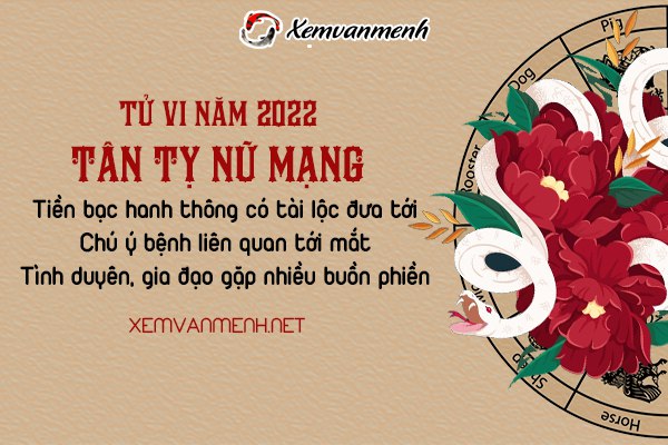 tu-vi-tuoi-tan-ty-nam-2022-nu-mang-2001