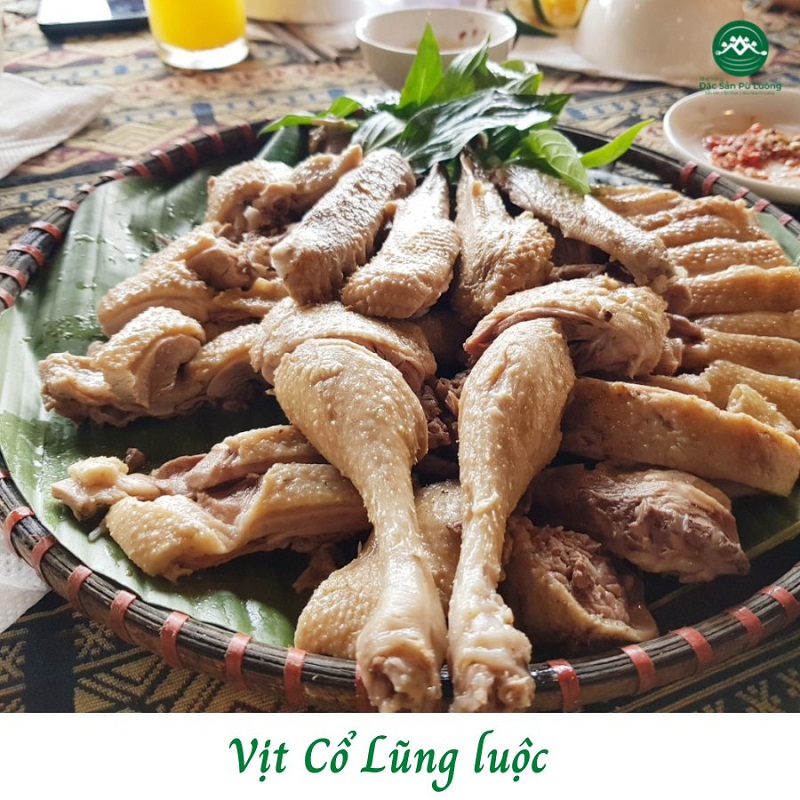 Co Lung duck- signature in Pu Luong Home