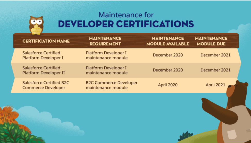 SalesForce Developer Certification