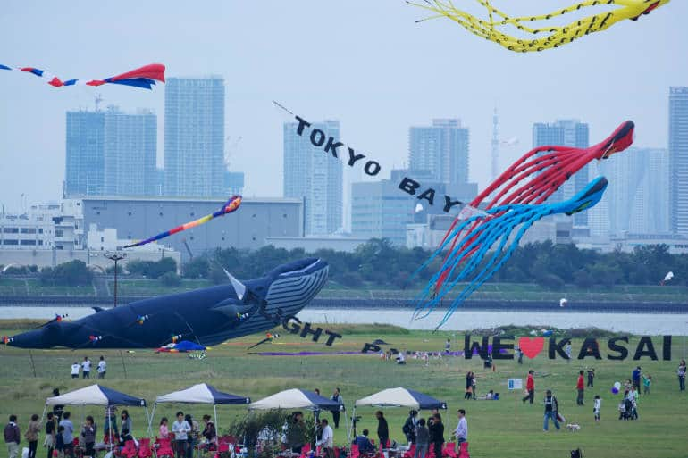 kasai rinkai tokyo picnic spots