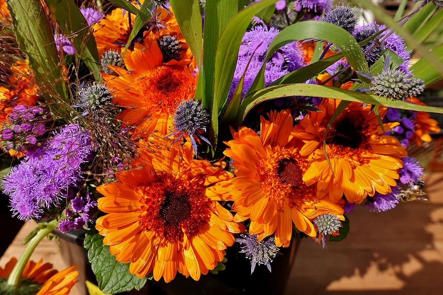 https://p0.pxfuel.com/preview/645/366/482/dahlia-summer-flowers-colorful-color.jpg