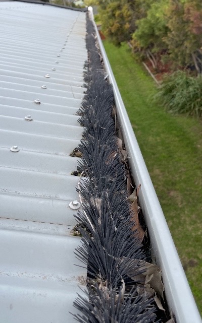 Brush guards over down pipes prevents gutter clogs