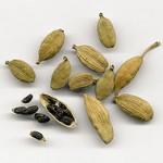 Cardamom