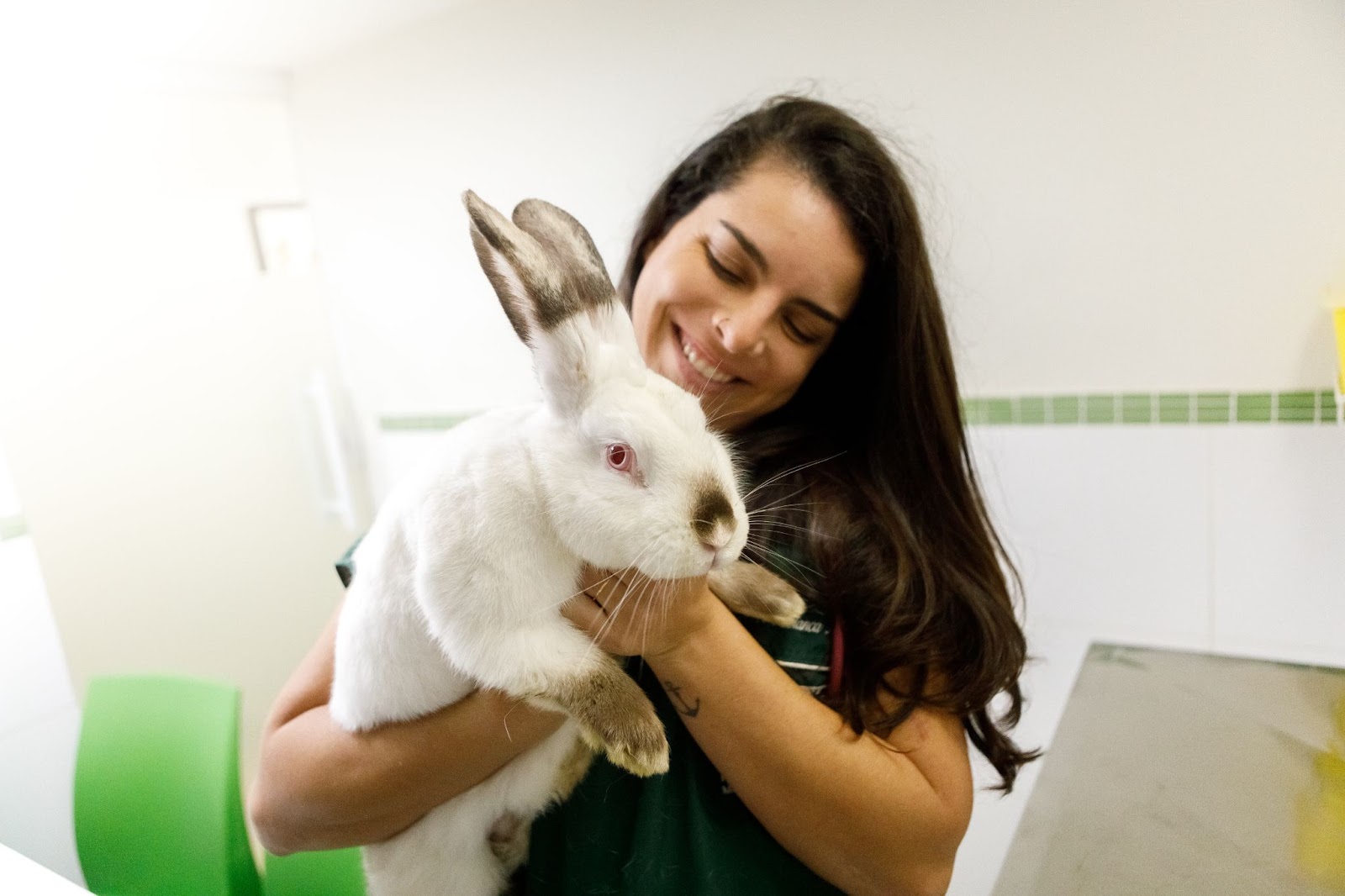 Médica veterinária de animais silvestres olhando para coelho branco 