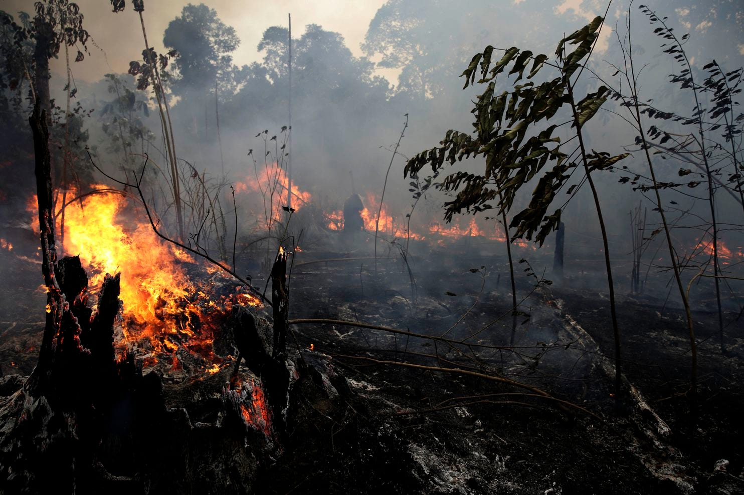Amazonas-va-en-camino-apagarse-incendio-brasil
