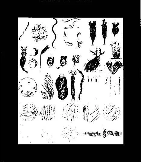D:\0 wd yedek\acr yedek\1 film indirme\forbidden_magic_ancients_12_dosyalar\image033.jpg