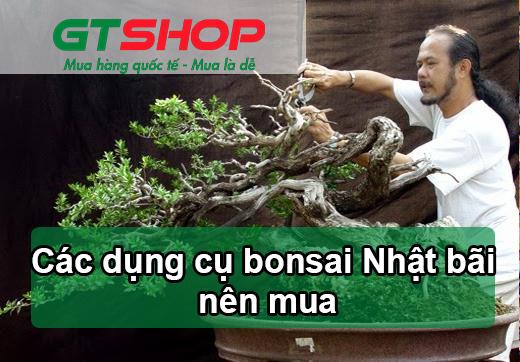 C:\Users\O2 Group\Downloads\bonsai-nhat.jpg