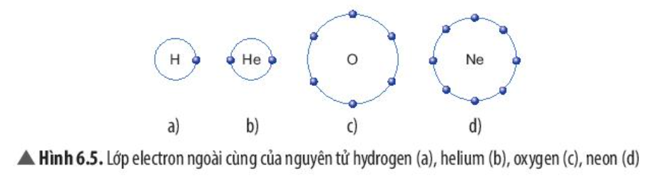 Câu hỏi trang 41 SGK TN&XH 7 CTST tập 1