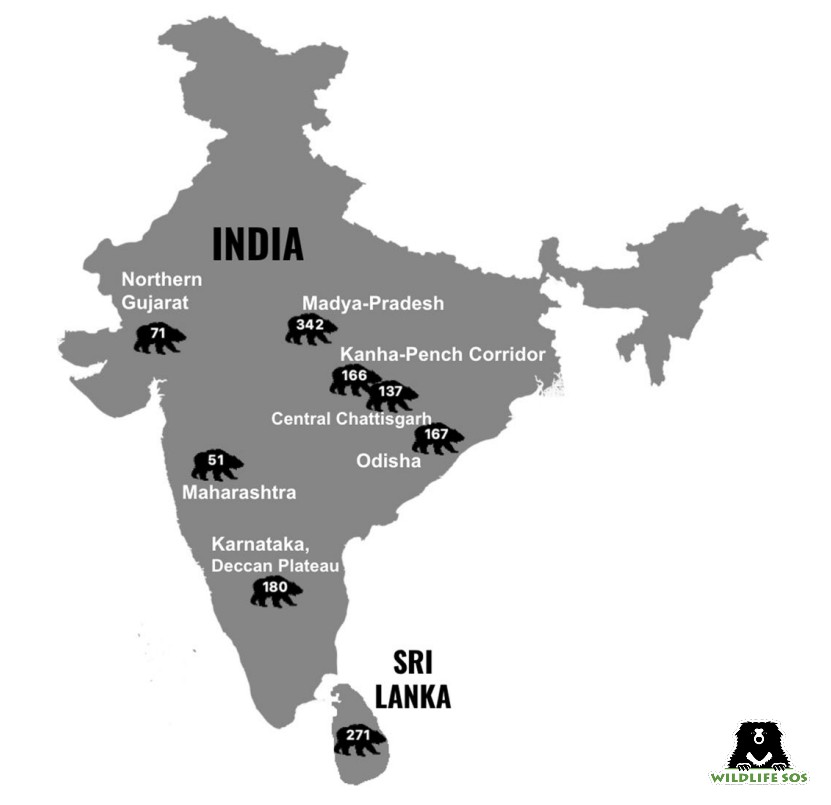 Map with sloth bear attacks in different regions according to the research.
