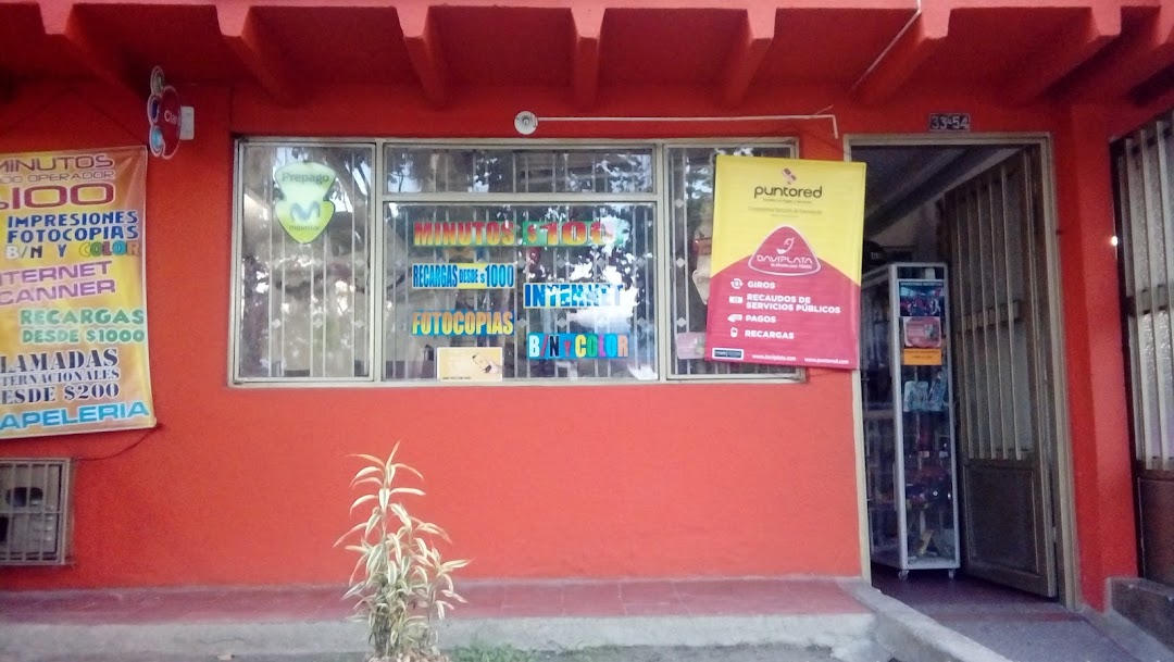 ALIANZA NET