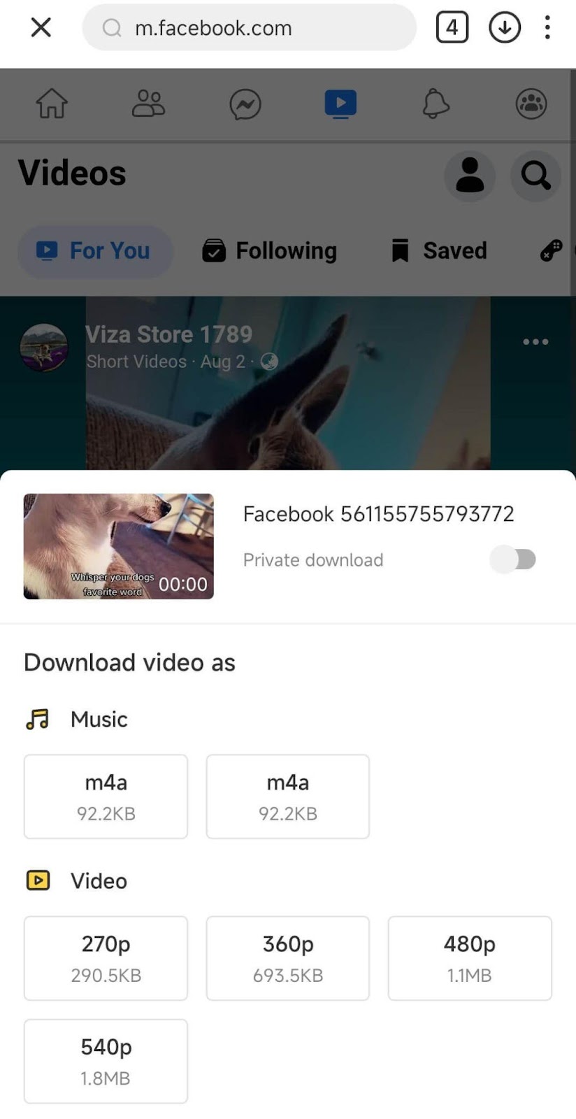 How to Convert and Download Facebook Video in MP3