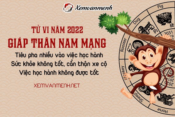 tu vi tuoi giap than nam 2022 nam mang 2004