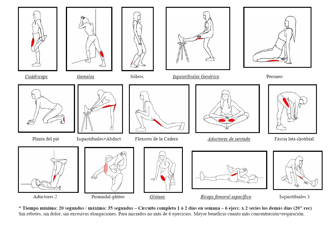 Resultado de imagen de imagenes de ejercicios en casa