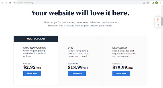 bluehost website