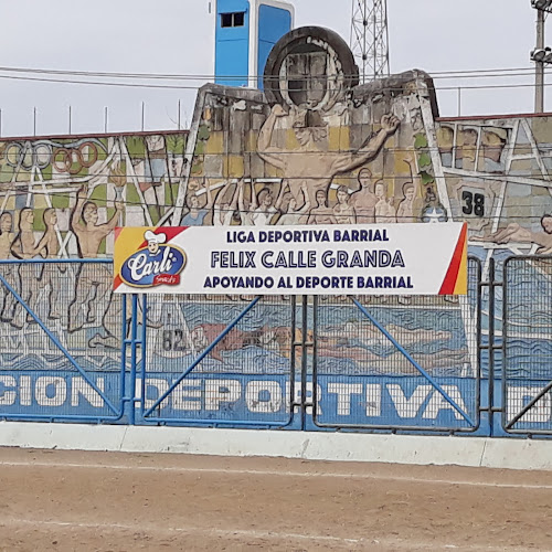 Opiniones de Liga Deportiva Barrial Felix Calle Granda en Guayaquil - Campo de fútbol