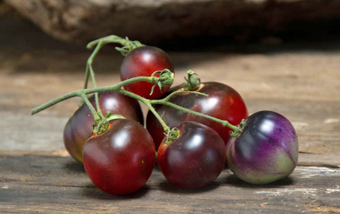 Indigo Apple