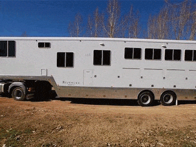 Rivenlee horse trailer