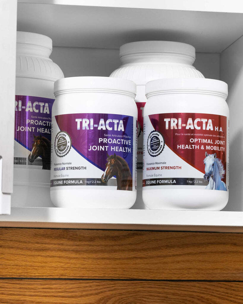 tri-acta for equine horse supplement