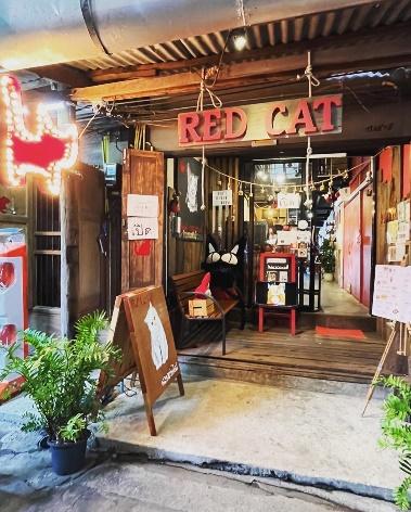 3.  Red Cat Cafe 2