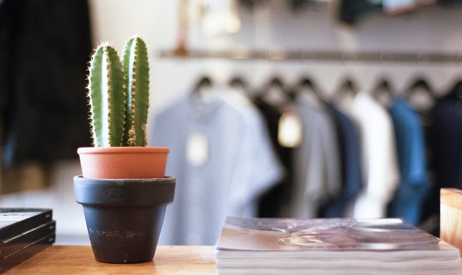 Cactus in pot on desk