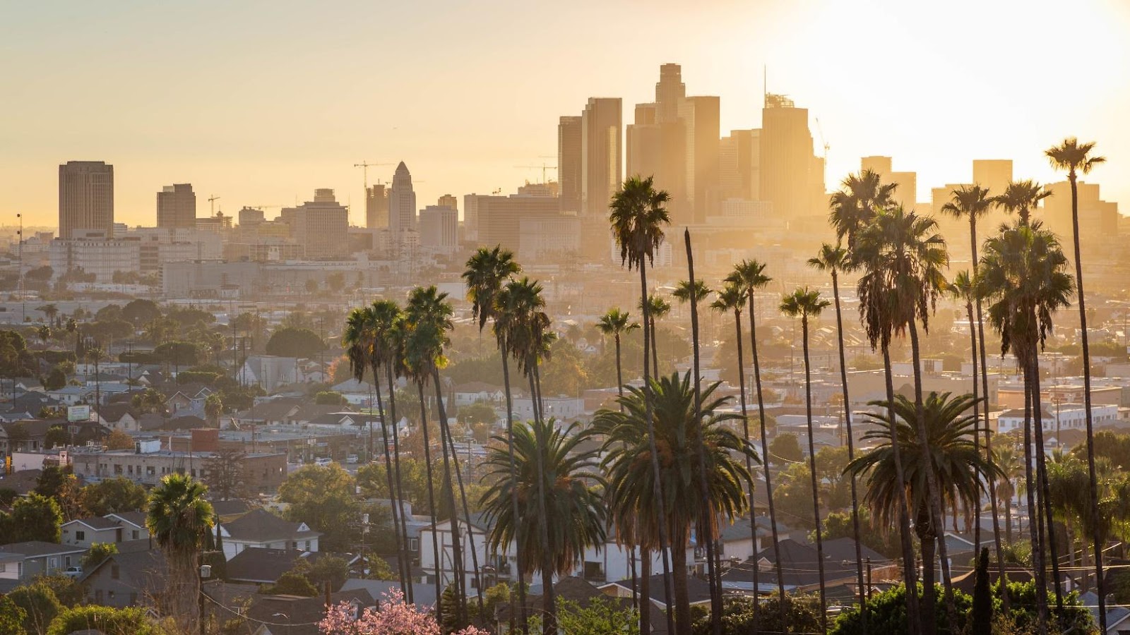 Visit Los Angeles: Best of Los Angeles, California Travel 2022 | Expedia  Tourism
