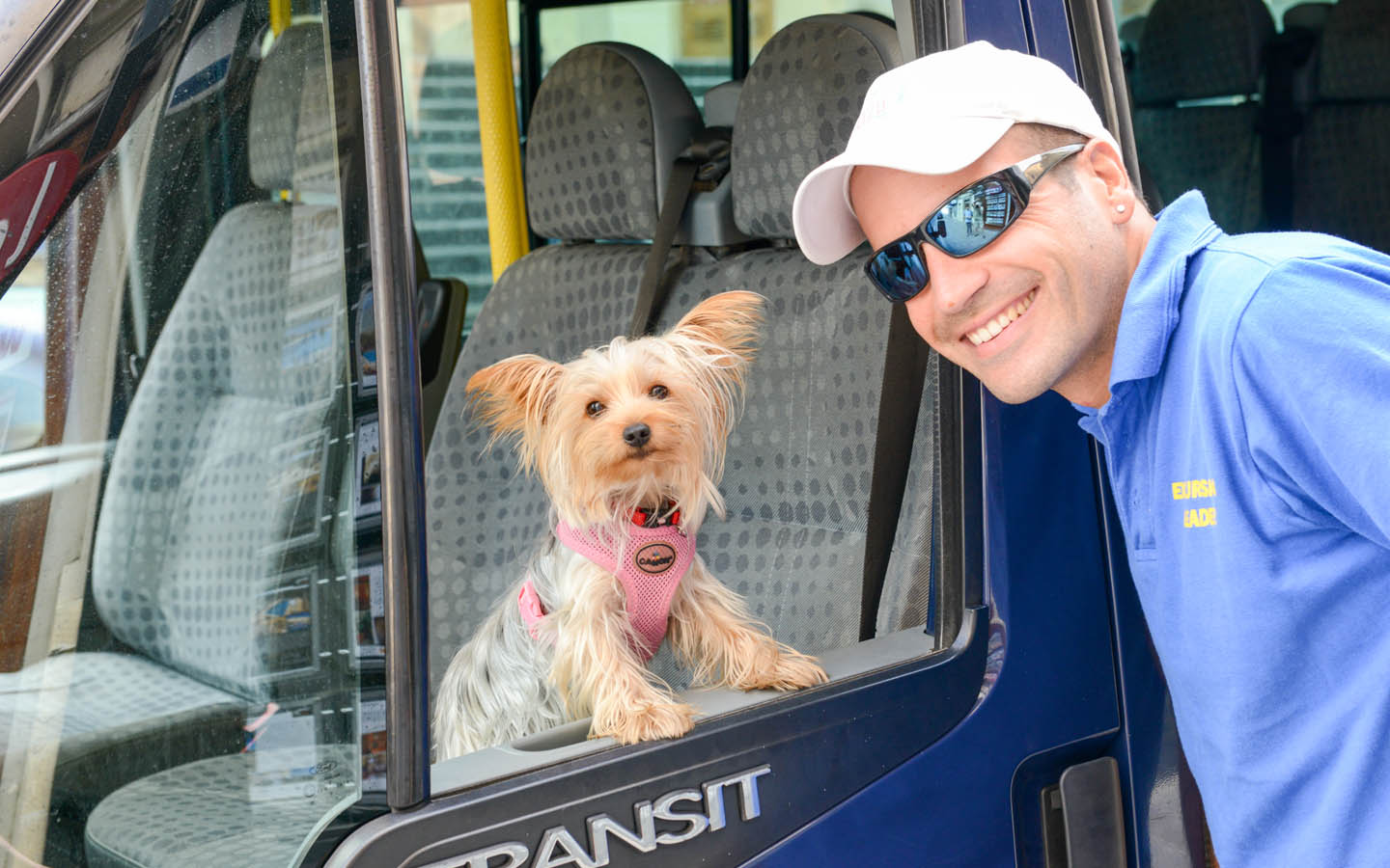 pet taxi services in dubai transporting a dog
