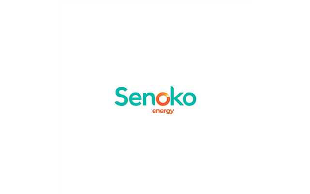 Senoko Energy is one of the largest electrical companies in Singapore