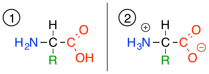 zwitterion