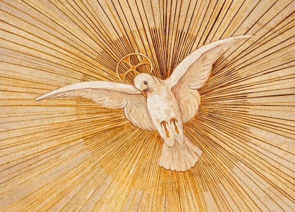 A Look at the Fruits of the Holy Spirit - Community in Mission