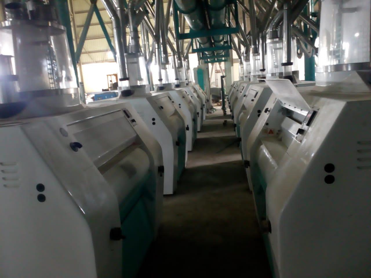 150T wheat flour mill in Egypt (2)