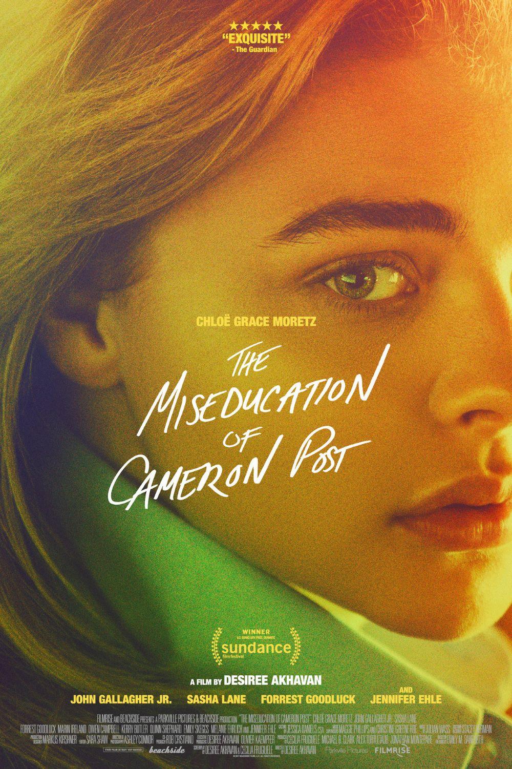 2.THE MISEDUCATION OF CAMERON POST 