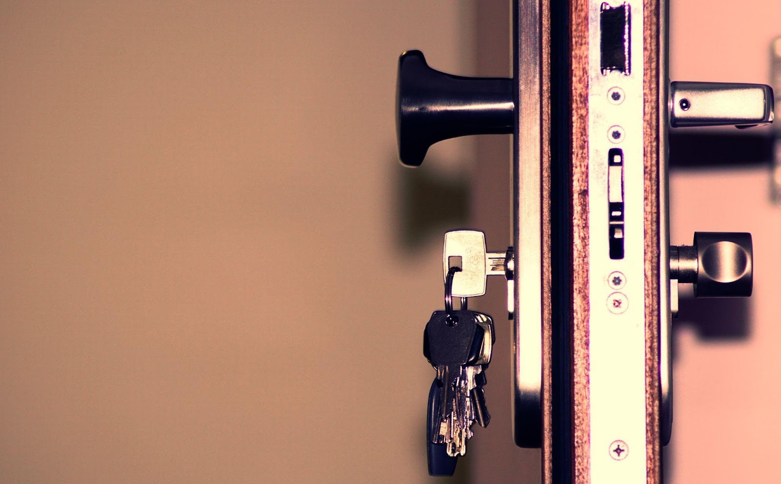 a side view of keys in a lock