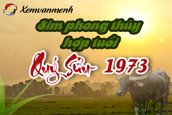 xem-sim-phong-thuy-hop-tuoi-quy-suu-1973